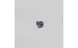 Screw brake disc M8 x 14mm Pit Bike / Dirt Bike