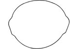 Gasket clutch case Moose Racing YZF 450