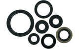 Oil Seal Set Moose Racing DR-Z 400