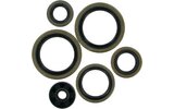 Oil Seal Set Moose Racing SX / EXC 125