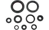 Oil Seal Set complete Moose Racing CRF 250 2004-2009