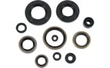 Oil Seal Set complete Moose Racing KX 250 1993-2003