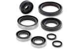 Oil Seal Set complete Moose Racing TC / SX 85