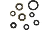 Oil Seal Set complete Moose Racing KXF 450 2016-2018