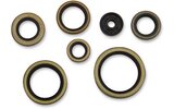 Oil Seal Set complete Moose Racing SX 250 / TE 300