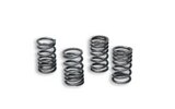 Clutch Springs Malossi Racing AM6