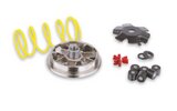 CVT Variator Malossi Multivar PGO BigMax / T-Rex