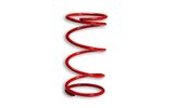 Contra Spring Malossi Honda PCX 125 Red