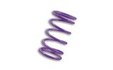 Contra Spring Malossi Kymco AK 550 Purple