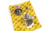 Carburetor Kit Malossi VHST 26mm Honda NSF 100