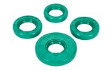 Oil Seals engine Schmitt Evolution FKM twist direction Simson S51