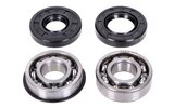 Crankshaft Bearings +  Seals Puch Maxi E50 old engine