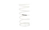 Torque Spring Malossi super reinf. Piaggio NRG / Typhoon