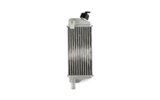 Radiator Rieju MRT Euro 4