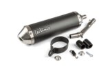 Silencer LeoVince X-Fight Carbone Beta RR after 2021