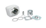 Cylinder Kit Malossi Alu 120 Suzuki Address 100cc 2T