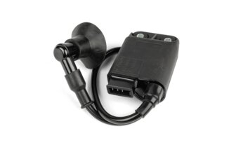 CDI alkuperäislaatuinen Piaggio Zip 3-nastainen