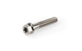 Titanium Bolt M6x35mm Stage6 R/T