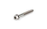 Titanium Bolt M5x40mm Stage6 R/T