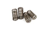 Clutch Spring MotoForce Racing AM6