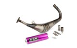 Exhaust SCR Corse Handmade 50-70 AM6 purple
