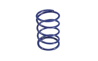 Contra Spring Polini +10% Honda Forza 250