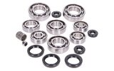Engine Bearings + Seals ROTAX type 123 -1997 2T LC