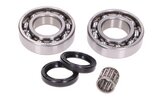Crankshaft Bearings + Seals Rotax 122 - 123