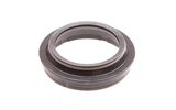 Oil Seal Paioli 36x48,5mm Rieju