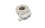 Cylinder (solo) Bidalot Racing Factory 80 WR Derbi Euro 2