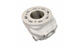 Cylinder (solo) Bidalot Racing Factory 80 WR Minarelli AM6