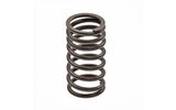 Valve Spring inside China 4-stroke / GY6 50cc