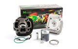 Cylinder Kit Top Performances Black Trophy 50cc cast iron Minarelli horizontal AC