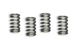 Clutch Springs Malossi Racing Lifan 110 - 150cc