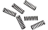 Clutch Springs Moose Racing CRF 450